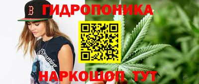 ПСИЛОЦИБИНОВЫЕ ГРИБЫ Камень-на-Оби